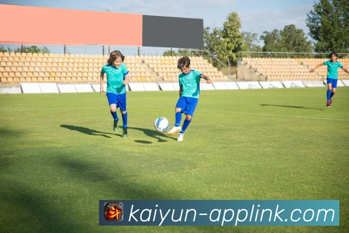 开云平台展示图