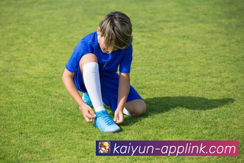 开云下载全新版本体验指南及功能优化详解